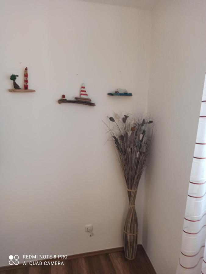 Apartments Vrime 비오그라드나모루 외부 사진